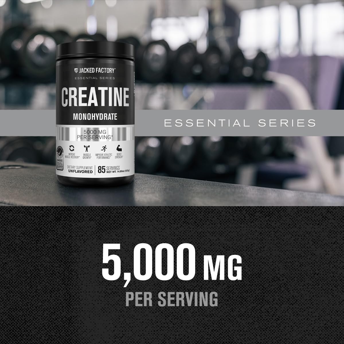 Jacked Factory Creatine Monohydrate Powder 425g - Creatine Supplement for Muscle Growth, Increased Strength, Enhanced Energy, & Improved Athletic Performance 85 Servings, Unflavored