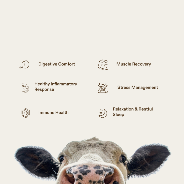 Miracle Moo Colostrum Chews